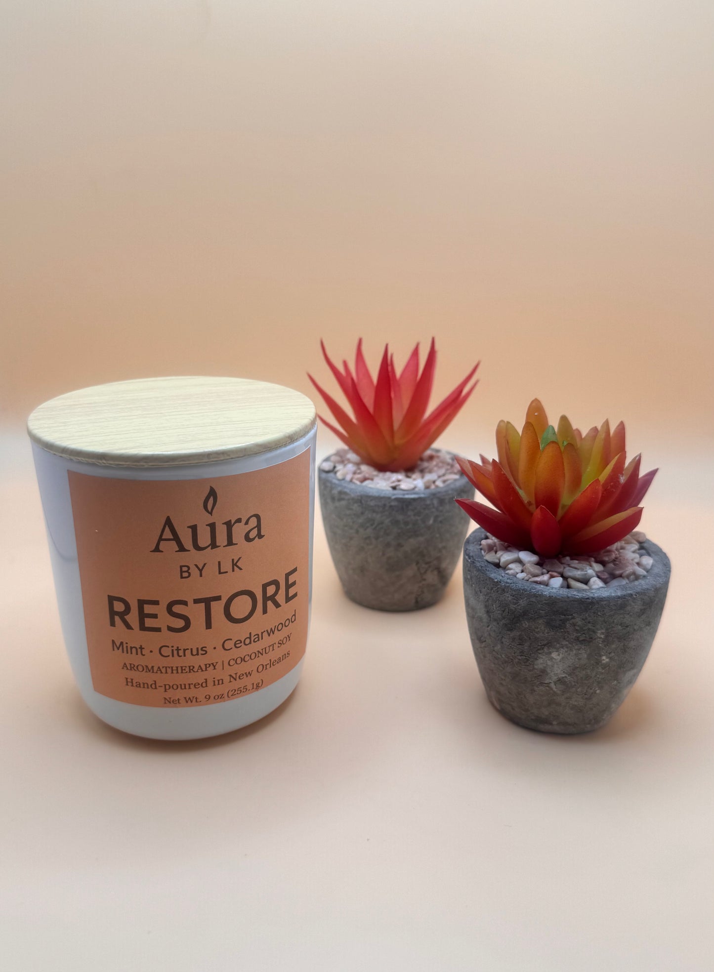 RESTORE