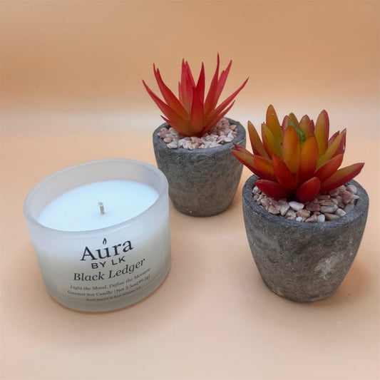 Aura by LK Black Ledger 4oz candle